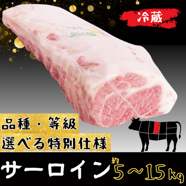 業務用　サーロイン
